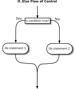 Control flow diagram for if..else statement